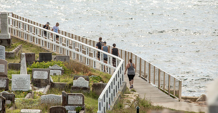 People walking beside Waverley Cemetery next to the ocean