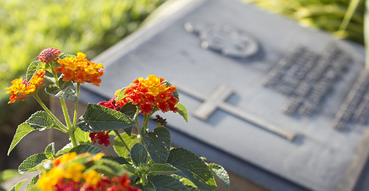 Grave headstone with orange and red flowers